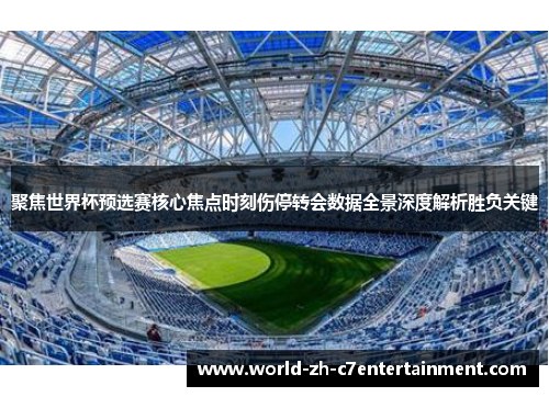 聚焦世界杯预选赛核心焦点时刻伤停转会数据全景深度解析胜负关键